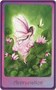 Карты Таро "Gentle Wisdom Cards" AGM / Таро Нежная Мудрость Царств Фей 525322596