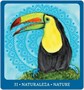 Карты Таро "El Camino Oracle Cards" US Games / Оракул Эль Камино 1430146837