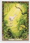 Карты Таро "Druid Animal Oracle Deck Reissue" Welbeck Publishing / Переиздание Колоды Друидов Животн 889246132