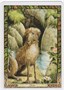 Карты Таро "Druid Animal Oracle Deck Reissue" Welbeck Publishing / Переиздание Колоды Друидов Животн 889246132