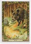 Карты Таро "Druid Animal Oracle Deck Reissue" Welbeck Publishing / Переиздание Колоды Друидов Животн 889246132