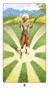 Карты Таро "Mini Tarot - Afrikan American (new edition)" Lo Scarabeo / Мини-Таро - Африканское амери 1714181744