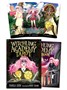Карты Таро "Witchling Academy Tarot" Llewellyn / Колода Академии Колдовства 1241359367