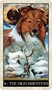 Карты Таро "Wise Dog Tarot" US Games / Таро Мудрой Собаки 407624940