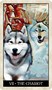 Карты Таро "Wise Dog Tarot" US Games / Таро Мудрой Собаки 407624940