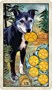 Карты Таро "Wise Dog Tarot" US Games / Таро Мудрой Собаки 407624940