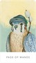 Карты Таро "White Sage Tarot in a tin" US Games / Таро Белого Шалфея 1924089216
