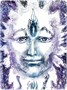 Карты Таро "Portals of Presence: Faces Drawn from the Subtile Realms" US Games / Порталы Присутствия 1847162531