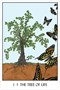 Карты Таро "Oracle of the Tress" US Games / Оракул Деревьев 1722295857