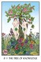 Карты Таро "Oracle of the Tress" US Games / Оракул Деревьев 1722295857