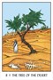 Карты Таро "Oracle of the Tress" US Games / Оракул Деревьев 1722295857