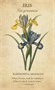Карты Таро "Botanical Inspirations Deck/Book Set" US Games / Ботанические Вдохновения 1025488324