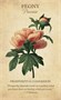 Карты Таро "Botanical Inspirations Deck/Book Set" US Games / Ботанические Вдохновения 1025488324