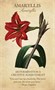 Карты Таро "Botanical Inspirations Deck/Book Set" US Games / Ботанические Вдохновения 1025488324