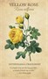 Карты Таро "Botanical Inspirations Deck/Book Set" US Games / Ботанические Вдохновения 1025488324