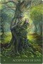 Карты Таро "Nature's Whispers Oracle" Blue Angel / Оракул Шепота Природы 1084663622