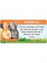 Карты Таро "Backyard Blessings: 40 Inspiration Cards" US Games / Благословение На Заднем Дворе 675010682