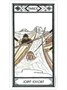 Карты Таро "Native American Tarot Deck" US Games / Таро Коренных Американцев 457976390