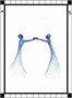 Карты таро "The Transparent Tarot" Schiffer Publishing / Прозрачное Таро 1122498583