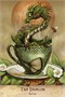 Карты Таро "Field Guide to Garden Dragons" US Games / Полевое Руководство По Садовым Драконам 494774102