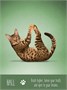 Карты Таро "Yoga Cats Deck & Book Set" US Games / Таро Йоги Кошек 775704224