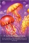 Карты Таро "Whispers of The Ocean Oracle Cards" Blue Angel / Оракул Шепот Океана 1298377928
