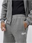 Спортивный костюм мужской демисезонный на флисе серого цвета 328Sr 1318438990