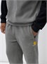 Спортивный костюм мужской демисезонный на флисе серого цвета 322Sr 1908184546