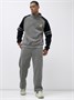 Спортивный костюм мужской демисезонный на флисе серого цвета 322Sr 1908184546