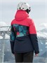 Горнолыжный костюм женский зимний розового цвета 0005R 1465343695