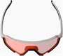 Очки Leatt RideViz Pro 1252271321