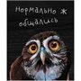 Панорама КБ Карты регионов РФ на основе данных OpenStreetMap 6, Вологодская область 175486545