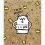 НОВИНКА! Тетрадь общая 48 листов на скрепке "Funny doodle" 1454155931