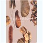 Блокнот "Parts of plants" А5 96 листов книжный переплет, сшивка 351860726