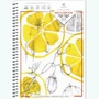Блокнот-скетчбук SKETCHBOOK 100 А4 40 листов на металлическом гребне 456224066
