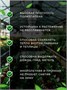 Армированная пленка для теплиц 100 мкм 2х10 м 2003157121