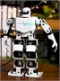 Программируемый робот RoboSoul H5S 1005007485422250