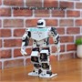 Программируемый робот RoboSoul H5S 1005007485422250