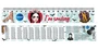 74086 Линейка пластиковая "Вэнсдэй" с таблицей умножения, 20 см. 1752692310
