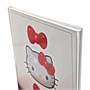 78082 Дневник школьный Hello Kitty, формат А 5, 48 листов, обложка в твердом заламинированном переплете + голографическая пленка, блок котлас 65 г/м2, белизна 100%, размер 165*210 мм 604919917