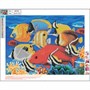 89758 Алмазная мозаика 5D Рыбки 40*50 см. Без подрамника, частичная выкладка, в составе основа с клейким слоем, пластиковые стразы, стилус, клей, емкость для страз. 2134710782