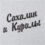 Футболка унисекс Regent 150, светло-серый меланж 236952498