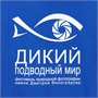Футболка унисекс Regent 150, ярко-синяя (royal) 182304699