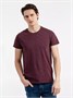 Футболка мужская Regent Fit 150, бордовый меланж 933134180