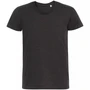 Футболка мужская Regent Fit 150, черный меланж 979460392