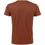 Футболка мужская Regent Fit 150, коричневая (терракотовая) 932737177
