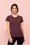 Футболка женская Regent Fit Women, коричневая (терракотовая) 2137496099