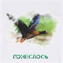 Футболка мужская E190, белая 500717032