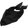 Шейный платок Bandana, черный 1848782267