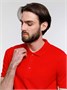 Рубашка поло мужская Adam, красная 285968123